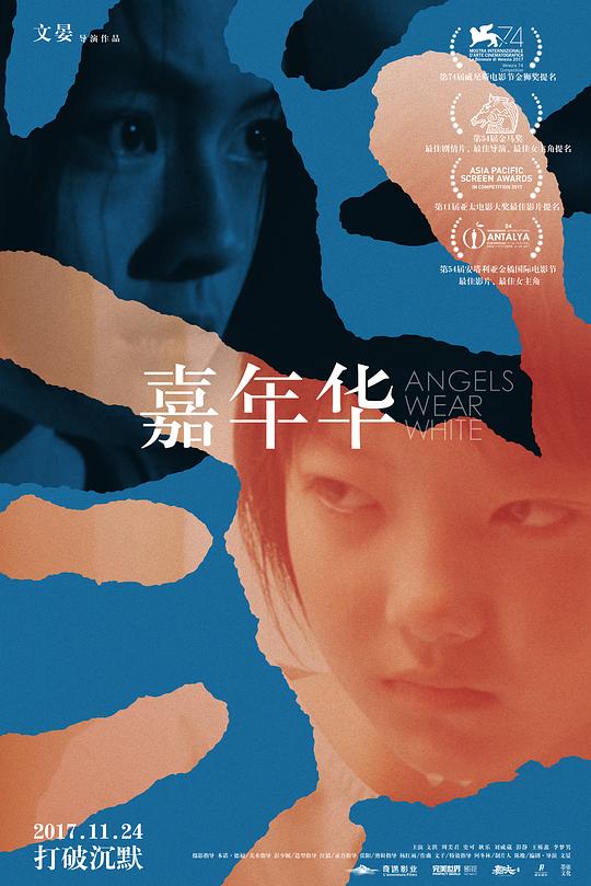 国产剧《嘉年华》(2017) ：一部镜头下的沉默与呐喊