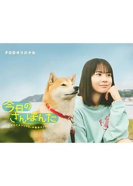 日本电视剧《今日份的散步 今日のさんぽんた‎》(2025) ：每一步，都是生活的答案