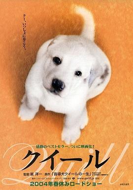 电影《导盲犬小Q》(2004) ：它用一生，教会我们告别