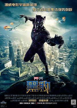 美国电影《黑豹》(2018) ：瓦坎达的沉默，是力量的代价