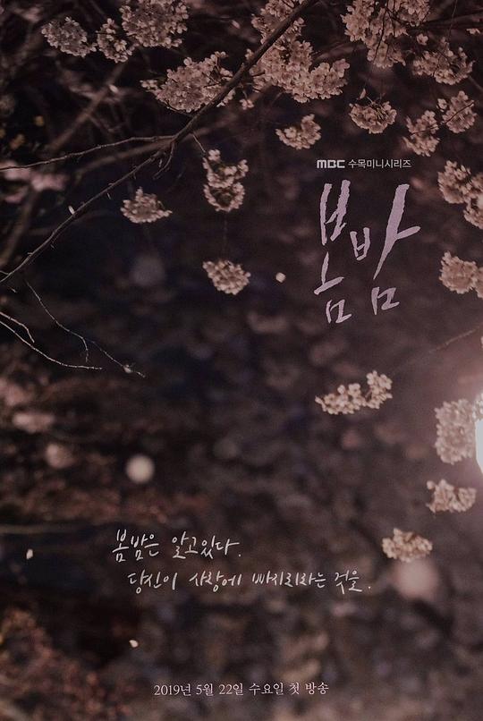 ［韩剧］春夜 봄밤 (2019)［16集全］春天的夜晚很短，心动的瞬间很长。
