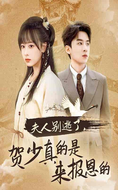 夫人别逃了贺少真的是来报恩的（63集全） - 傲图好剧