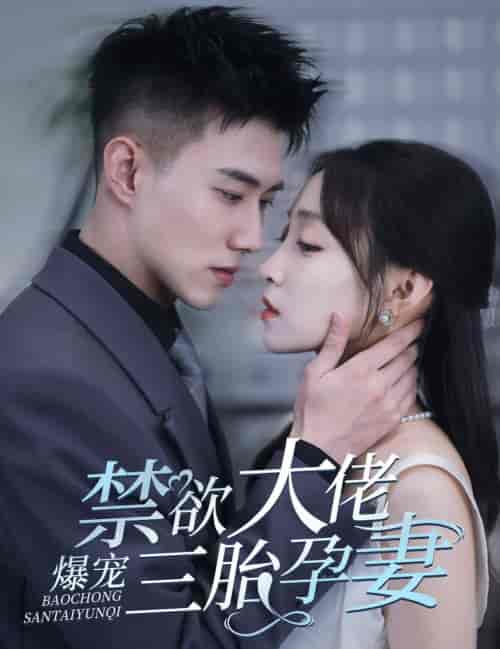 禁欲大佬爆宠三胎孕妻（60集全）黄文博 - 傲图好剧