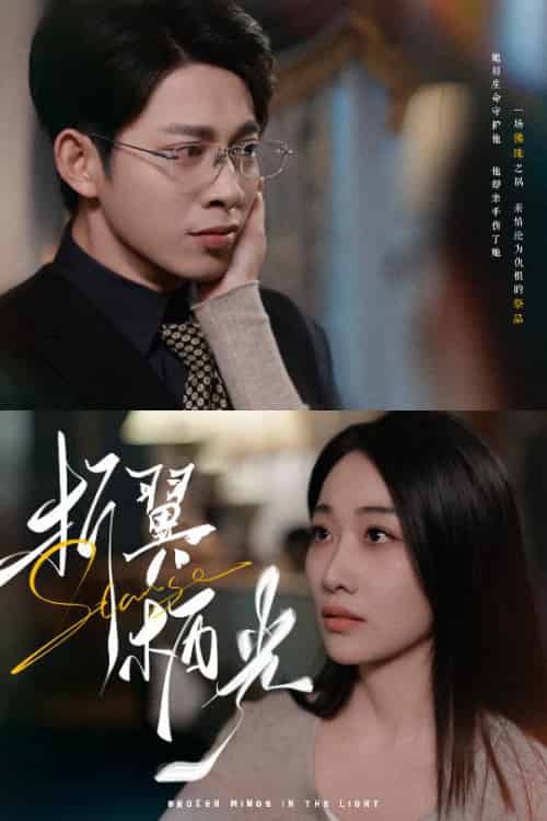 折翼栖光（43集全）白杨滋＆张钰静 - 傲图好剧