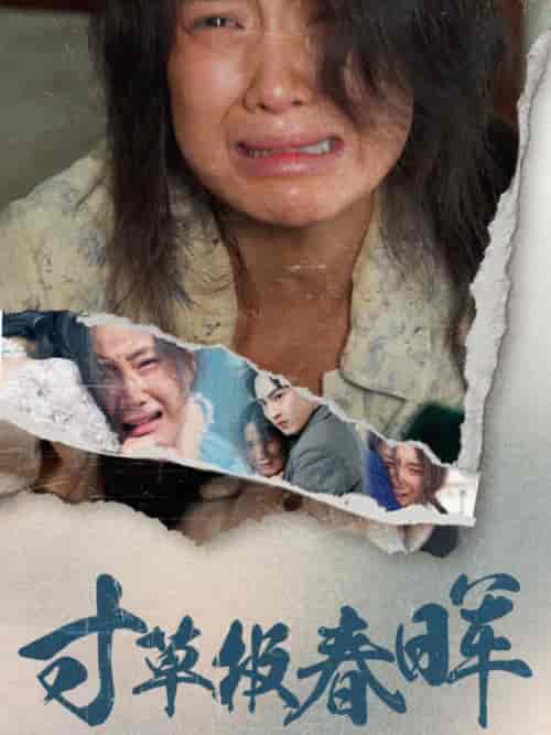 寸草报春晖（65集全） - 傲图好剧