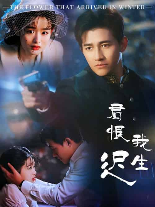 君恨我生迟＆司令府就是我的家（60集全）李子锋＆李紫一 - 傲图好剧
