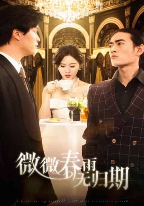 微微春雨无归期（65集全）栩晨昱＆书雪漫 - 傲图好剧