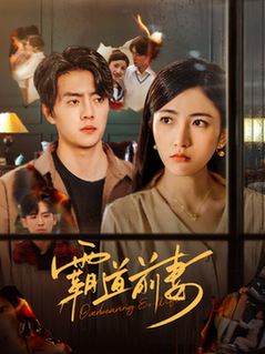 霸道前妻（34集全）张磊 - 傲图好剧