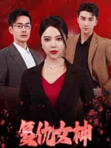 复仇女神（30集全） - 傲图好剧