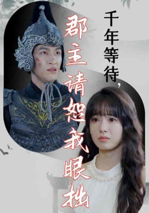 千年等待，郡主请恕我眼拙（50集全）项岩＆柳依依 - 傲图好剧