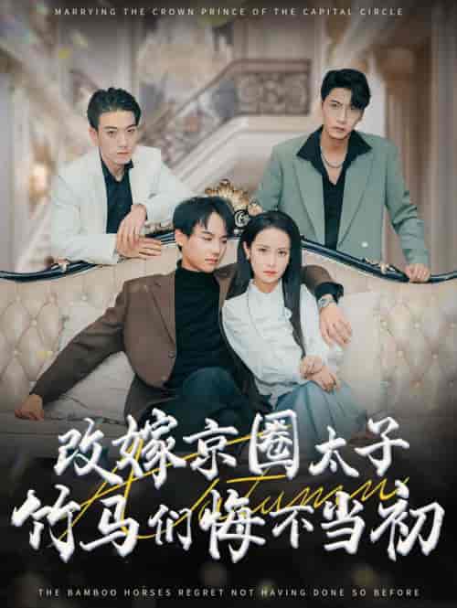 改嫁京圈太子竹马们悔不当初（30集全）黄子淇＆王蔼玲 - 傲图好剧