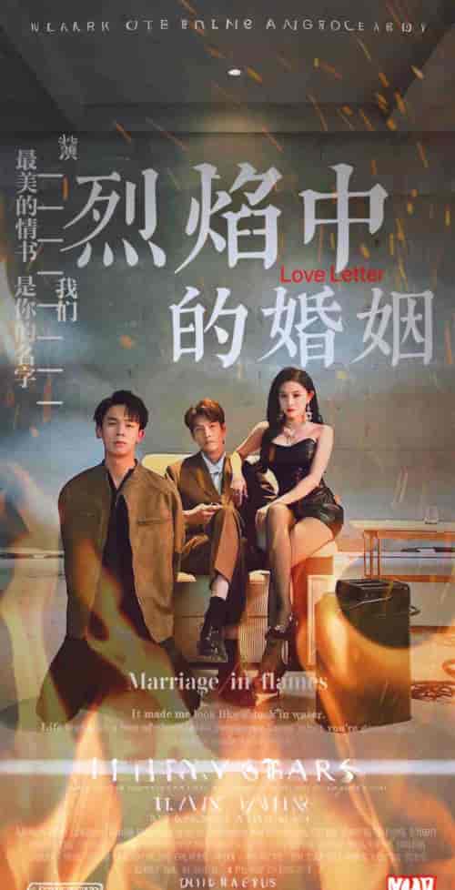 烈焰中的婚姻（32集全） - 傲图好剧