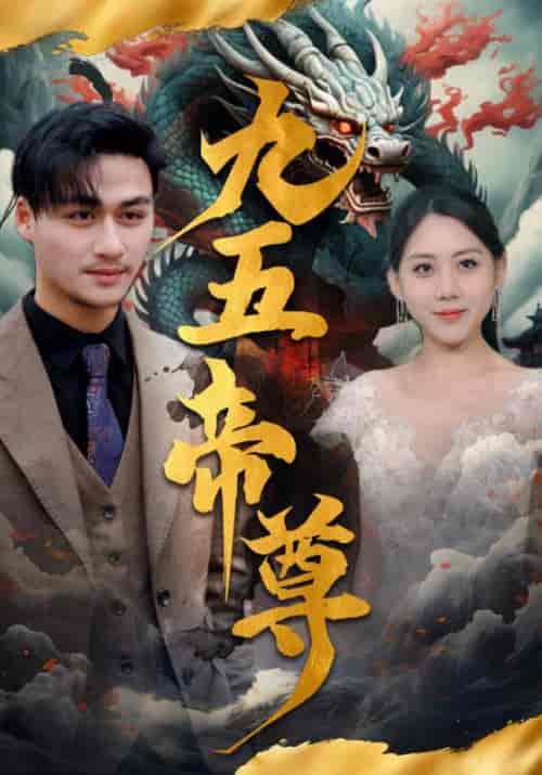 九五至尊（90集） - 傲图好剧