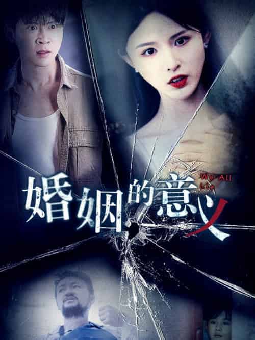 婚姻的意义（35集全） - 傲图好剧