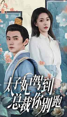 太子妃驾到，总裁你别跑（80集） - 傲图好剧