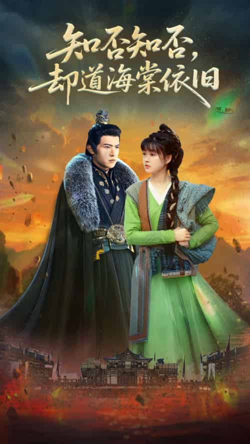 知否知否却道海棠依旧（100集）邵之鹏＆杨帆 - 傲图好剧