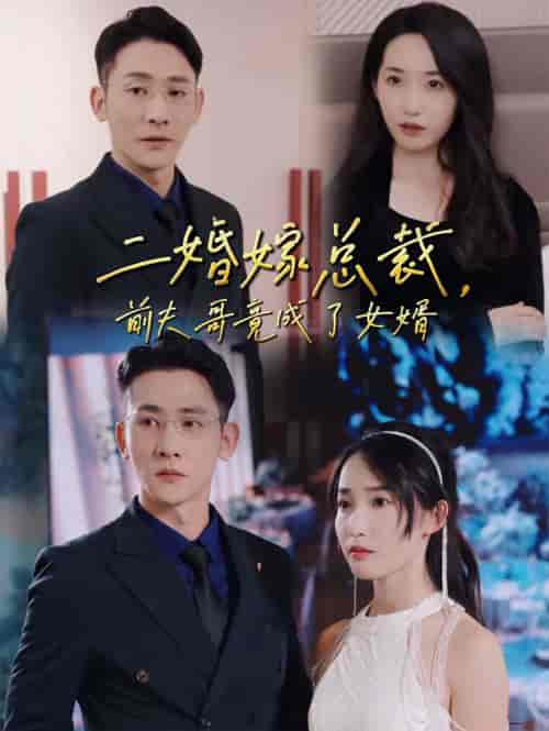 二婚嫁总裁前夫哥竟成了女婿（95集全）于叔 - 傲图好剧