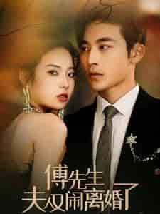 傅先生夫人又闹离婚了（80集）李艺璇 - 傲图好剧