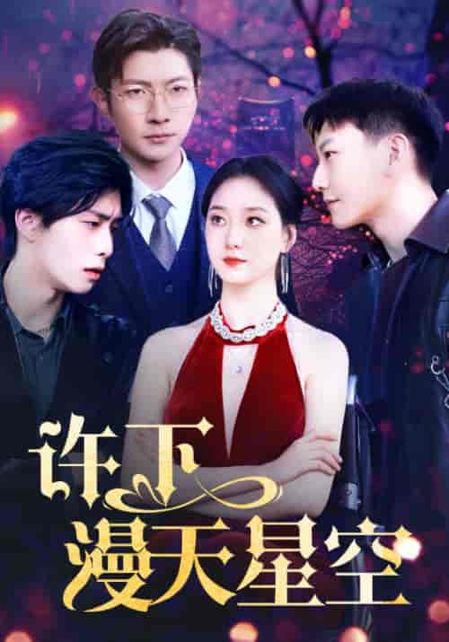 许下漫天星空（71集） - 傲图好剧