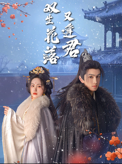 双生花落又逢君（66集全）林可汉＆白雪茹 - 傲图好剧