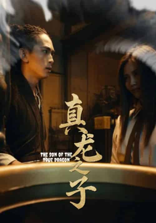真龙之子（20集全）秦玦＆张清濯 - 傲图好剧