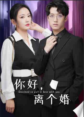 你好，离个婚（30集） - 傲图好剧