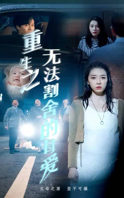 重生之无法割舍的母爱（63集全） - 傲图好剧