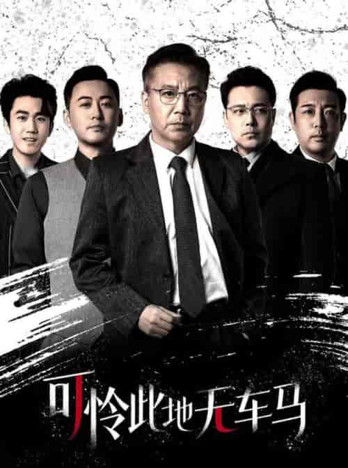 可怜此地无车马＆我骑个电驴怎么了（30集全） - 傲图好剧