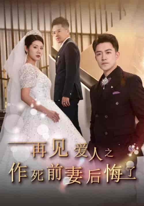 再见爱人之作死前妻后悔了（30集全）裴诚＆苏禾 - 傲图好剧