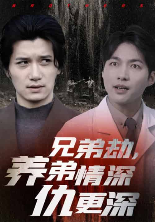 兄弟劫，养弟情深仇更深（35集全）萧凡＆萧云 - 傲图好剧