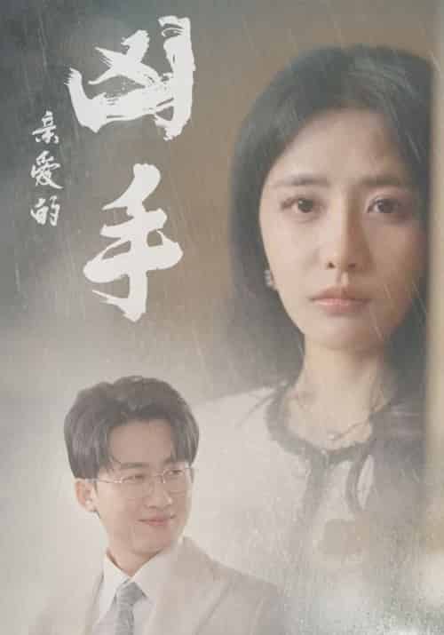 亲爱的凶手（35集全）蒋天明＆许沐薇 - 傲图好剧