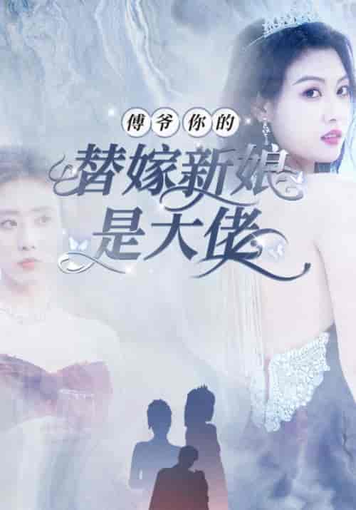 你是我的浩瀚星辰（12集全） - 傲图好剧