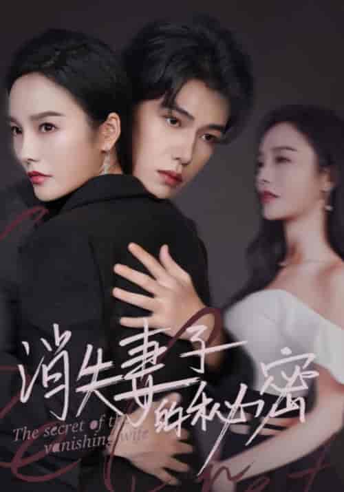 消失妻子的秘密（60集全）苏译＆梁云歌 - 傲图好剧