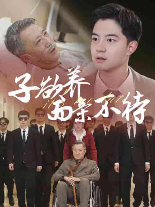 子欲养而亲不待（70集全） - 傲图好剧