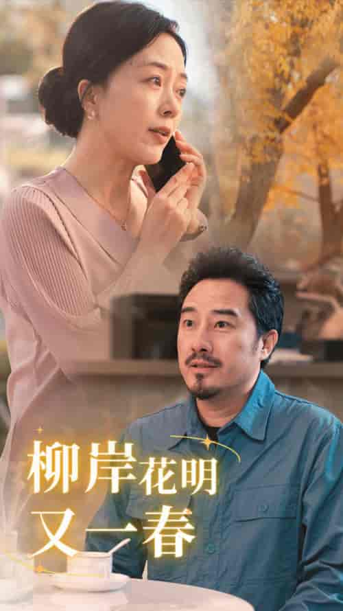 柳暗花明又一春（40集全） - 傲图好剧
