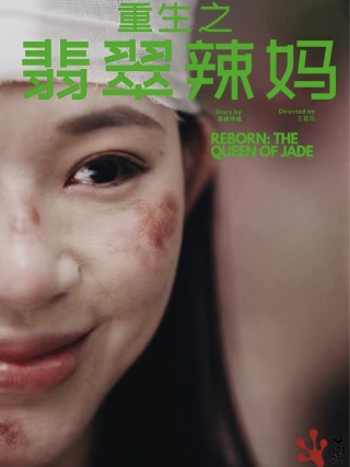 重生之翡翠辣妈（90集） - 傲图好剧