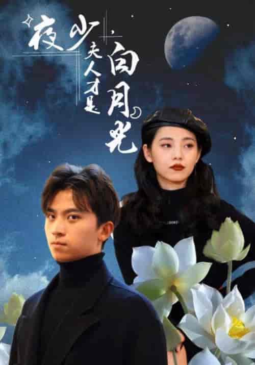 夜少，夫人才是白月光（101集全）夜南天＆慕容嫣 - 傲图好剧