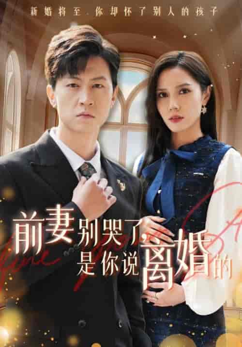 前妻别哭了，是你说离婚的（42集全）陆辰＆柳如烟 - 傲图好剧