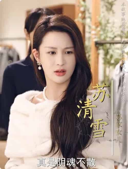 养母的秘密（34集全） - 傲图好剧