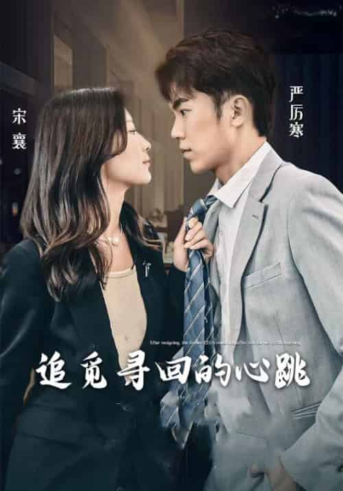 追觅寻回的心跳（100集全）严厉寒＆宋襄 - 傲图好剧