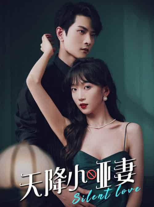 天降小哑妻（80集全） - 傲图好剧