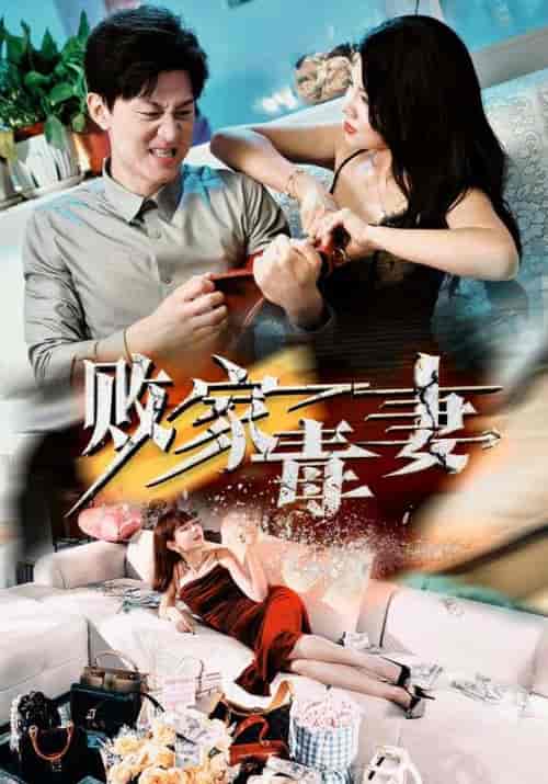 败家毒妻（32集全）汪天予 - 傲图好剧