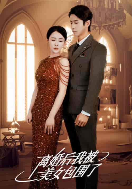 离婚后,我被美女包围了 离婚后,我被美女包围了