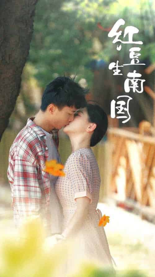 红豆生南国（53集全）常丹丹 - 傲图好剧