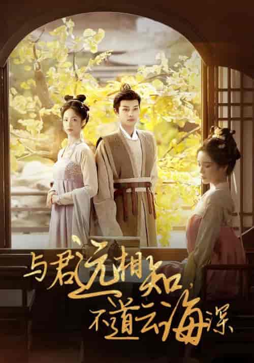 与君远相知，不道云海深（30集全）顾云峥＆沈凝 - 傲图好剧