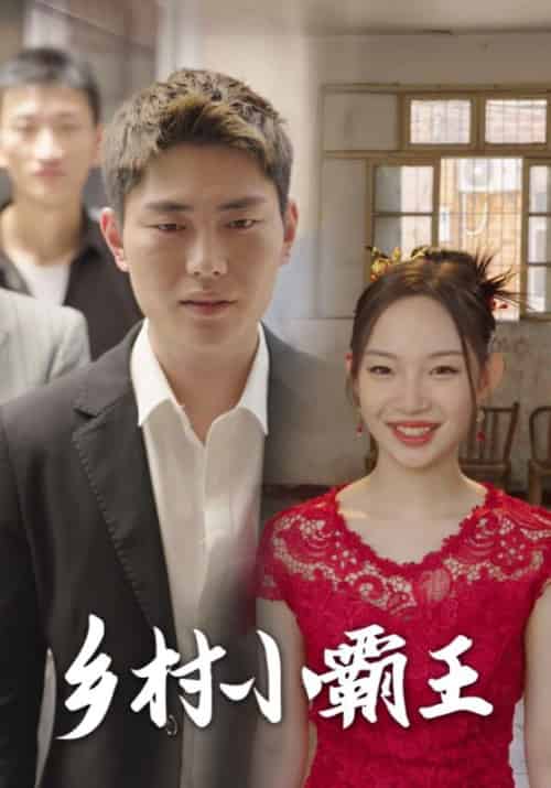 乡村小霸王（80集全）许东升＆高月 - 傲图好剧