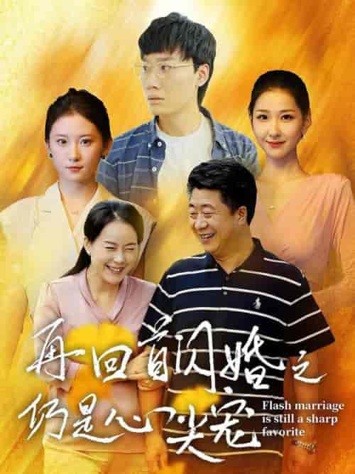 再回首闪婚之仍是心尖宠（36集全） - 傲图好剧