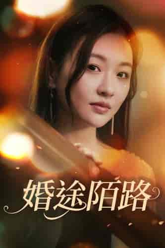 婚途陌路（15集） - 傲图好剧