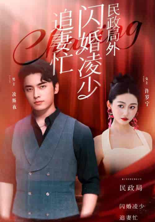 民政局外闪婚凌少追妻忙（94集全）凌斯夜＆许岁宁 - 傲图好剧
