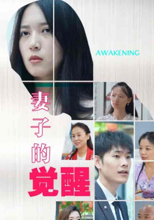妻子的觉醒（118集全）宋振宇＆周楚楚 - 傲图好剧